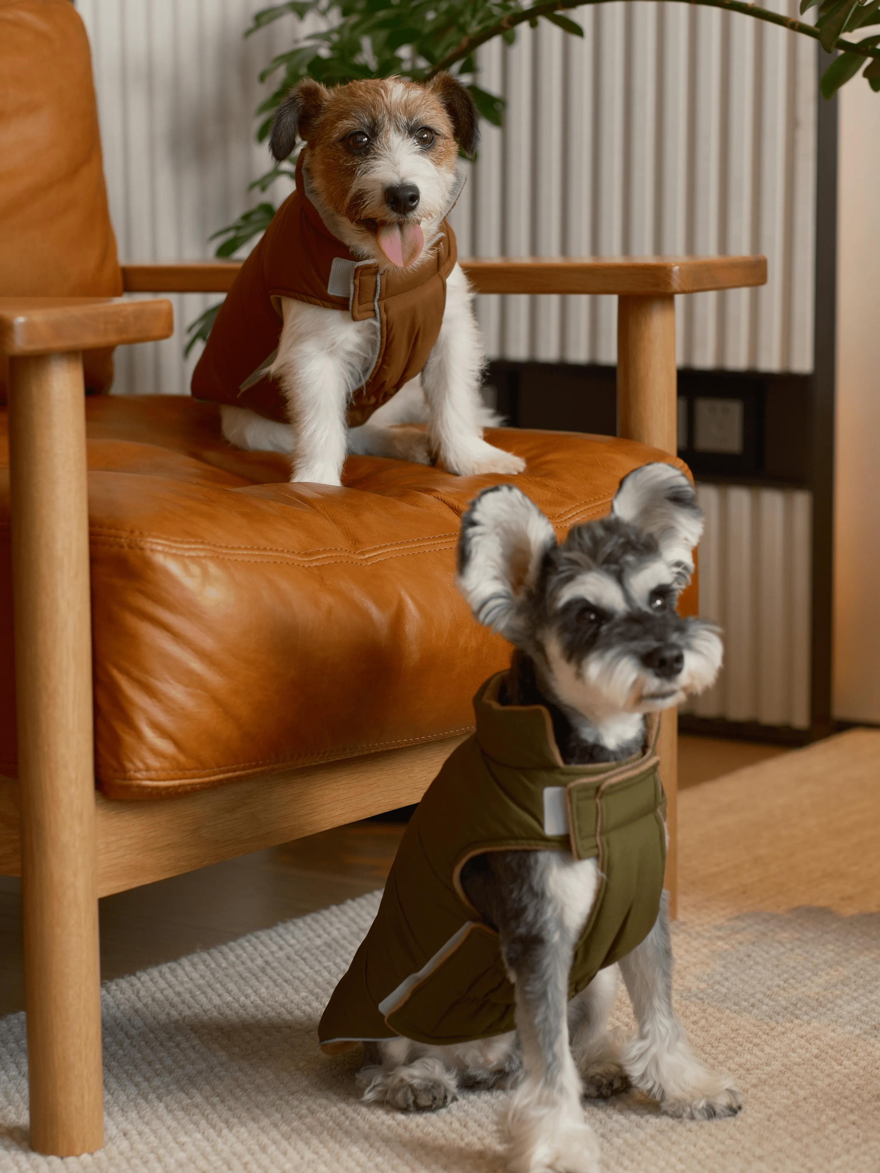 Reversible Dog Vest Jacket - Green Brown