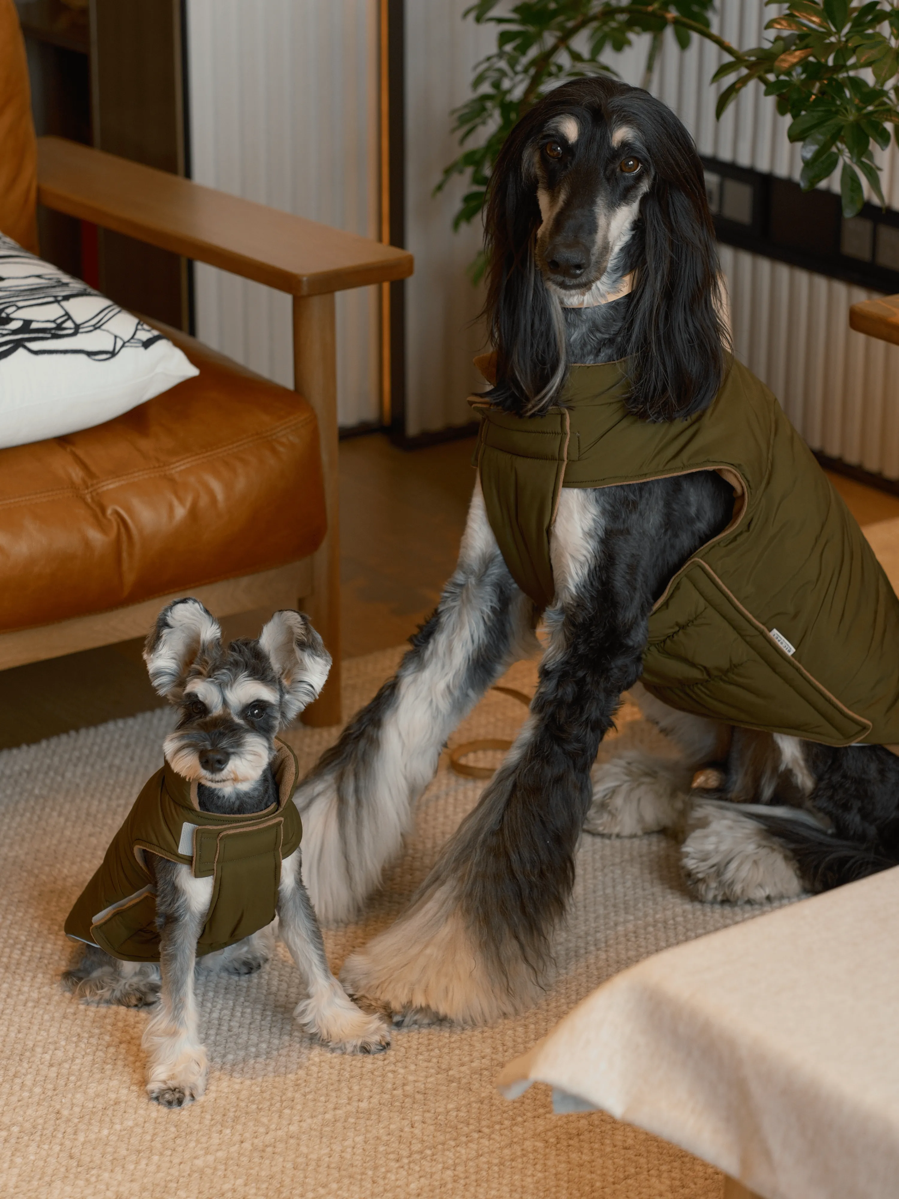 Reversible Dog Vest Jacket - Green Brown